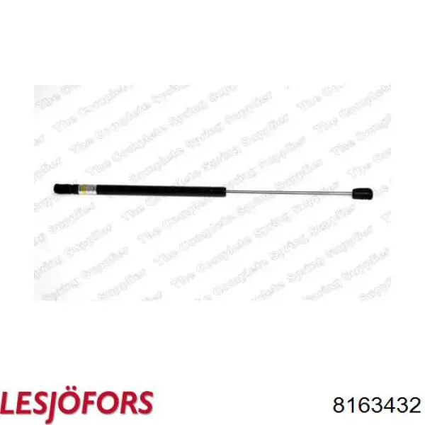 Amortiguador de maletero Lesjofors 8163432 precio, desde 15,87 EUR