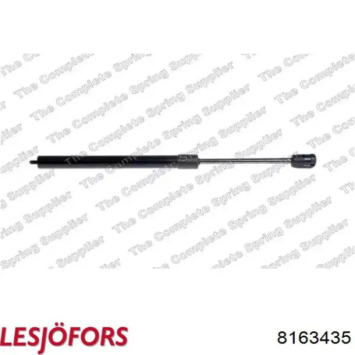 Amortiguador de maletero Lesjofors 8163435 precio, desde 11,75 EUR