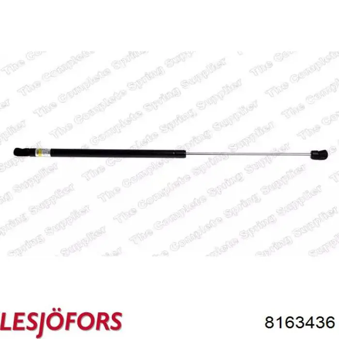 Comprar 8163436 Lesjofors Amortiguador de puerta trasera