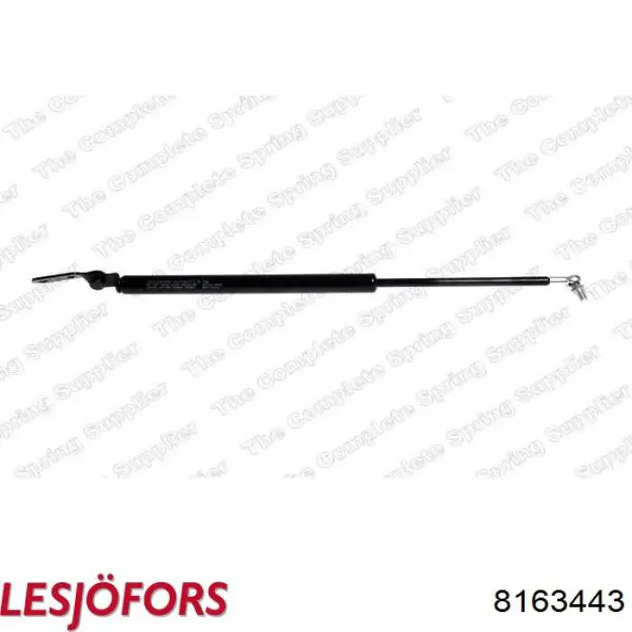 Amortiguador de maletero Lesjofors 8163443 precio, desde 11,79 EUR