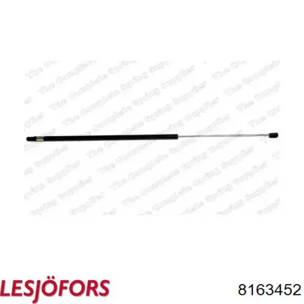 Amortiguador de maletero Lesjofors 8163452 precio, desde 21,73 EUR