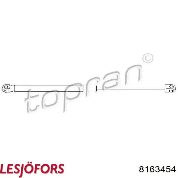 Amortiguador de maletero Lesjofors 8163454 precio, desde 13,64 EUR