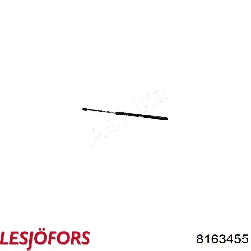 Comprar 8163455 Lesjofors Amortiguador de puerta trasera