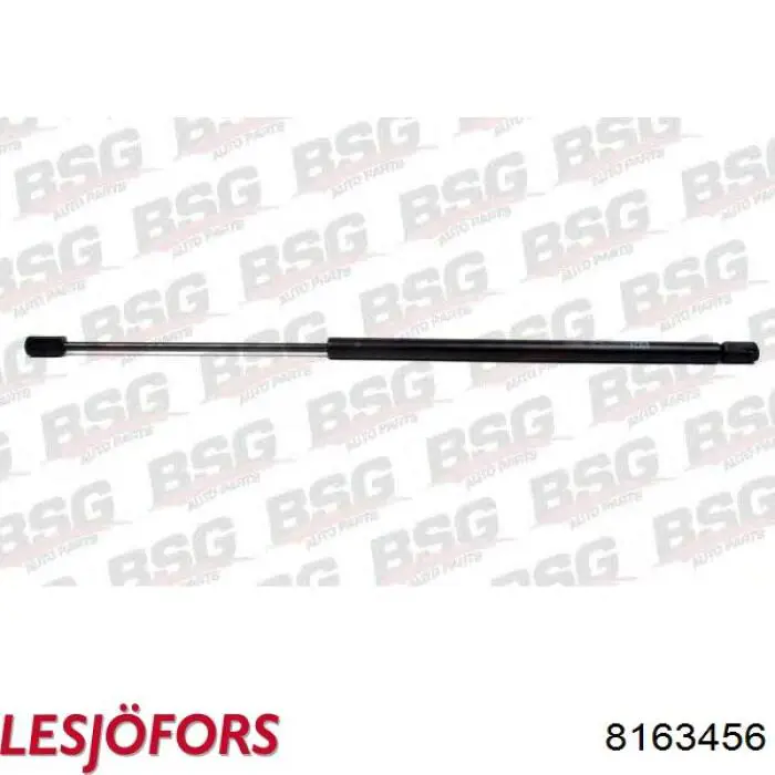 Amortiguador de maletero Lesjofors 8163456 precio, desde 13,37 EUR