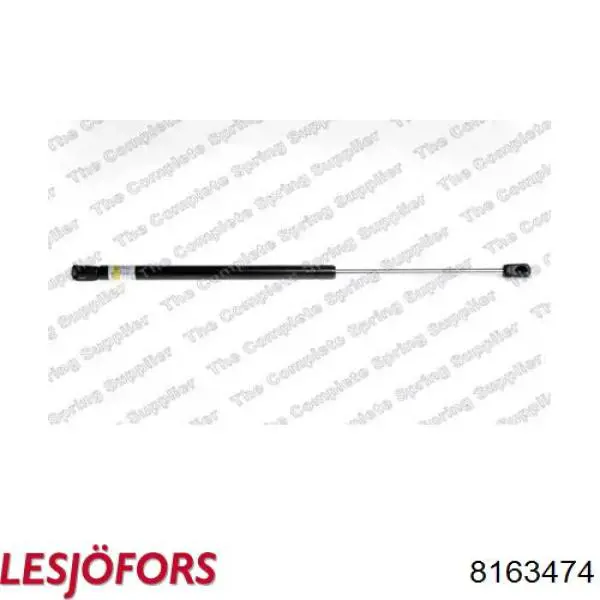 Amortiguador de maletero Lesjofors 8163474 precio, desde 15,40 EUR