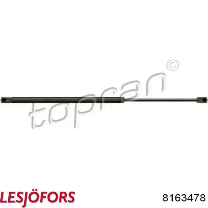 Comprar 47058 Febi Amortiguador de puerta trasera