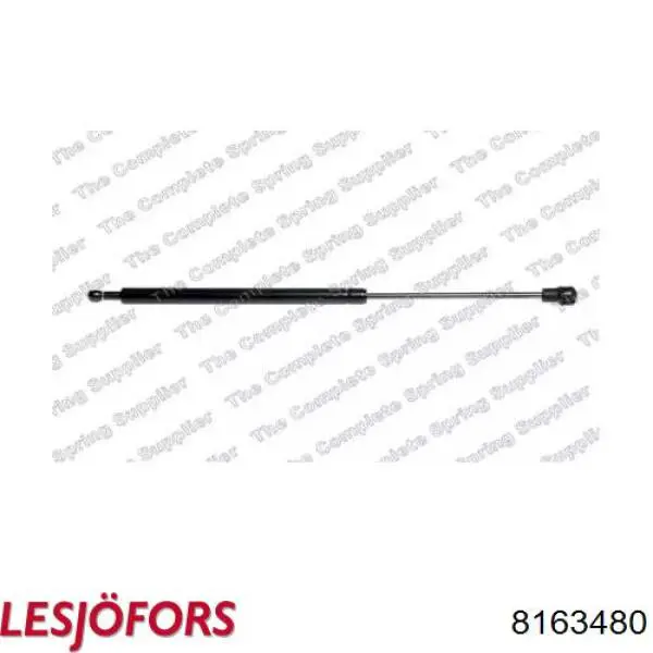 Amortiguador de maletero Monroe ML6541 precio, desde 19,98 EUR