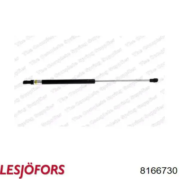 Amortiguador de maletero Peugeot 307 3A, 3C