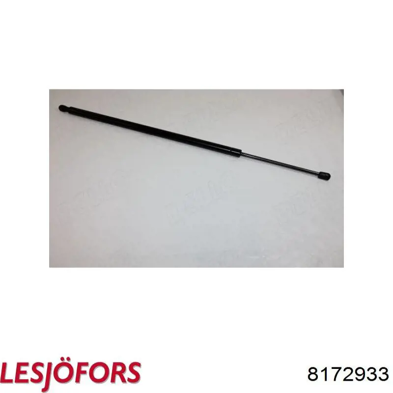 Comprar 8172933 Lesjofors Amortiguador de puerta trasera