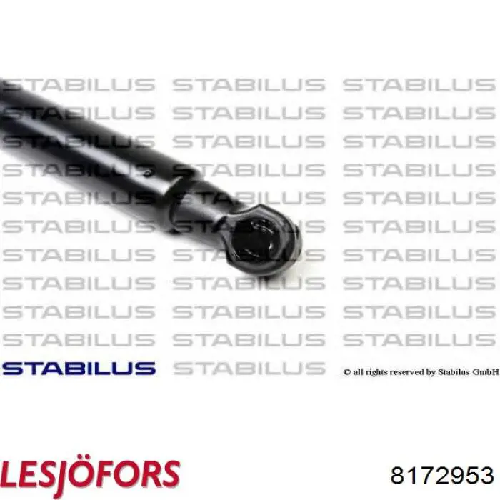 Comprar 8172953 Lesjofors Amortiguador de puerta trasera