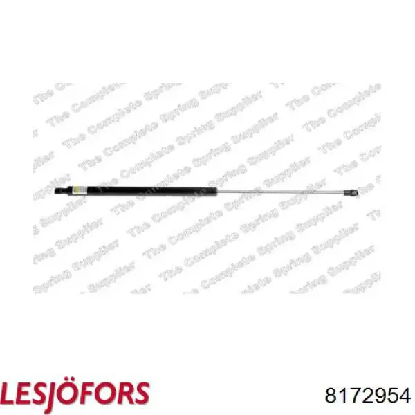 Amortiguador maletero 844304692R Renault (RVI)