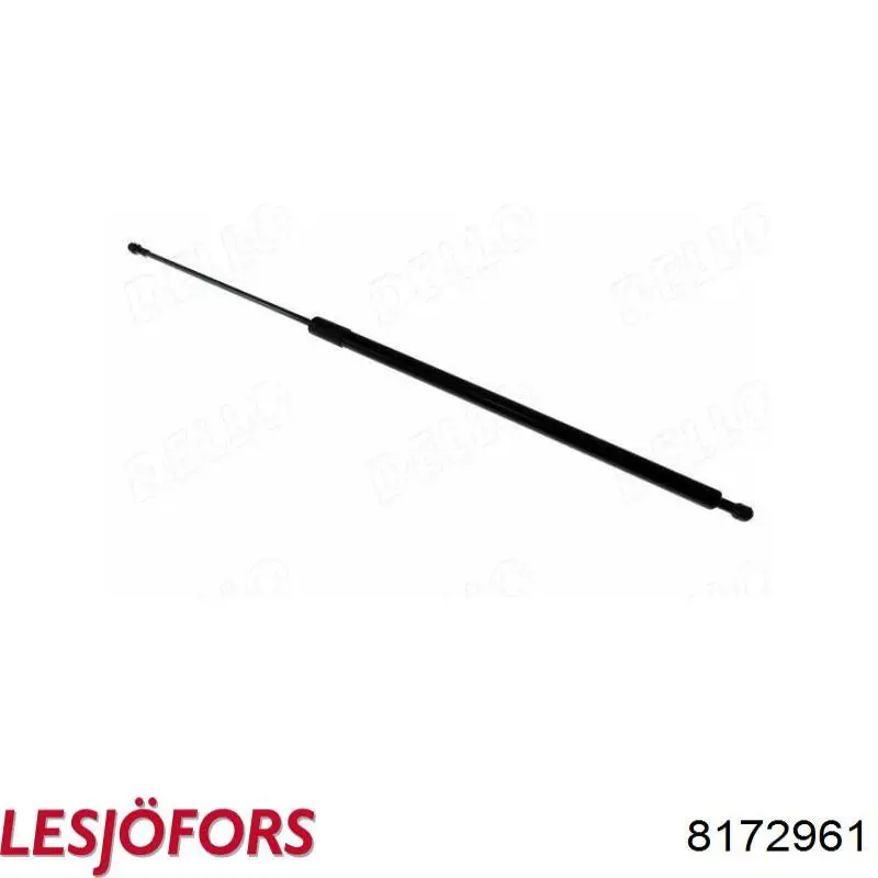 Comprar 79695 Asam Amortiguador de puerta trasera