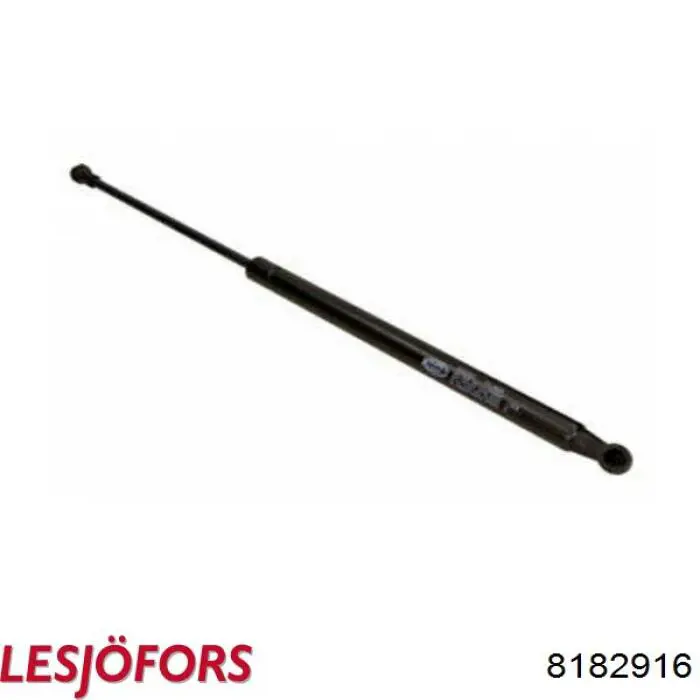 Amortiguador de maletero Seat Leon 2 1P1