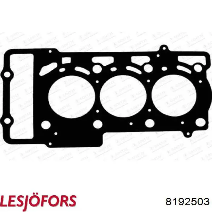8192503 Lesjofors Amortiguador de porton