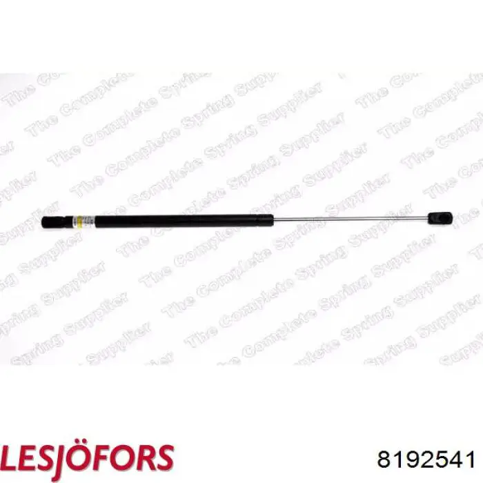 Amortiguador de maletero Lesjofors 8192541 precio, desde 23,01 EUR