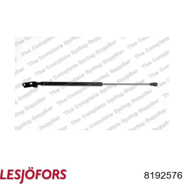 Amortiguador maletero 08450400 Montcada