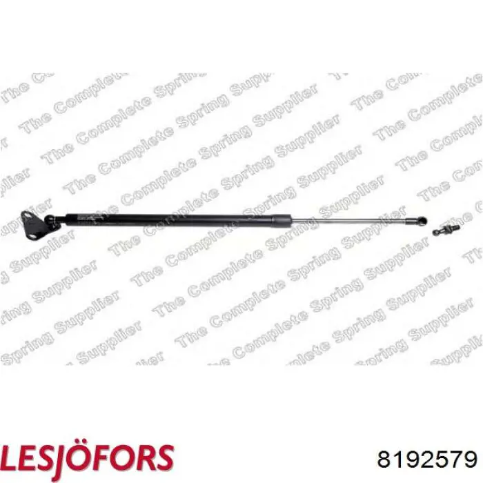 Amortiguador de maletero Lesjofors 8192579 precio, desde 27,21 EUR