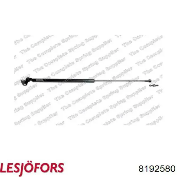 Amortiguador de maletero Lesjofors 8192580 precio, desde 16,64 EUR
