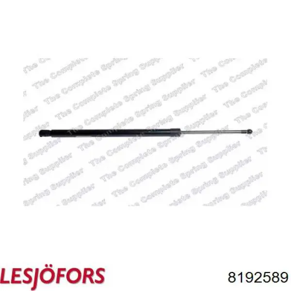 Amortiguador de maletero Lesjofors 8192589 precio, desde 19,78 EUR