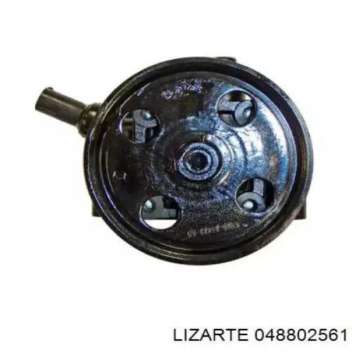 048802561 Lizarte