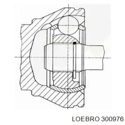 300976 Loebro junta homocinética exterior delantera