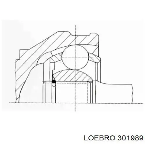 301989 Loebro junta homocinética exterior delantera