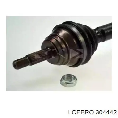 304442 Loebro árbol de transmisión delantero derecho