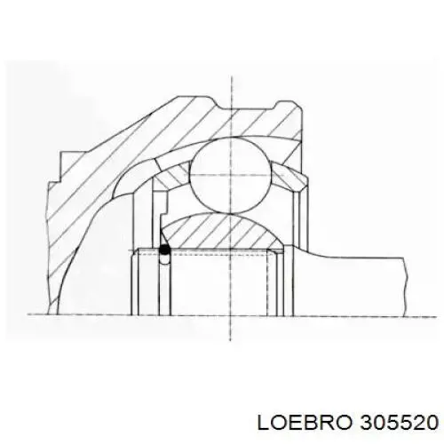 305520 Loebro junta homocinética exterior delantera