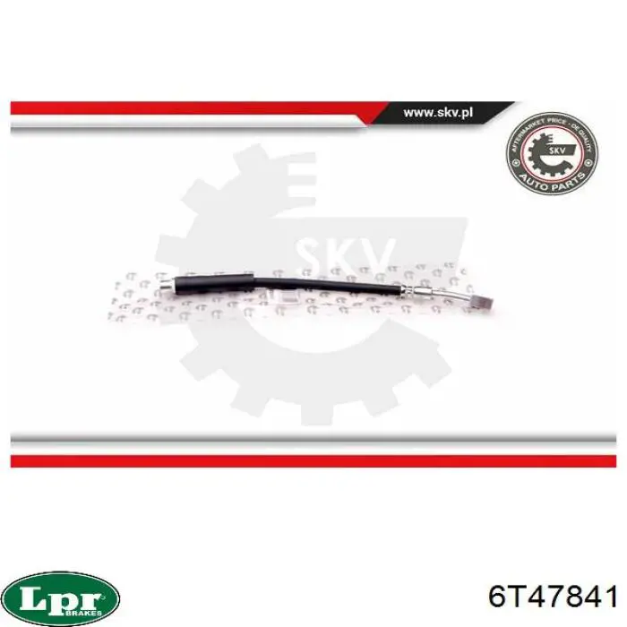 Latiguillos de freno delantero LPR 6T47841 precio, desde 10,62 EUR
