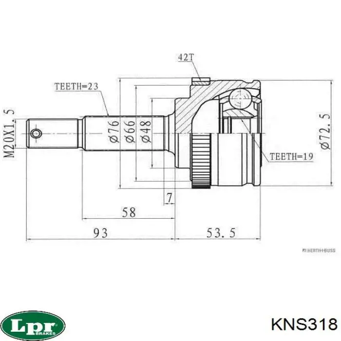 KNS318 LPR junta homocinética exterior delantera