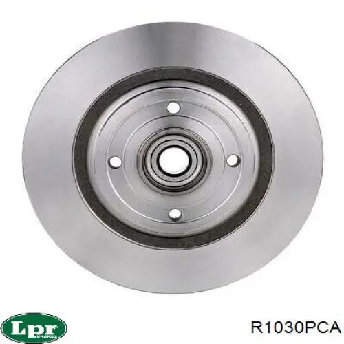 Disco de freno trasero LPR R1030PCA precio, desde 68,65 EUR