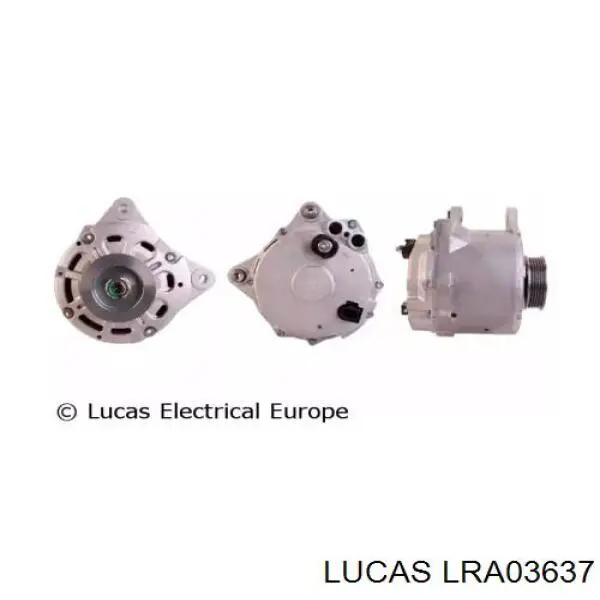 Comprar 079903021E VAG Dynamo