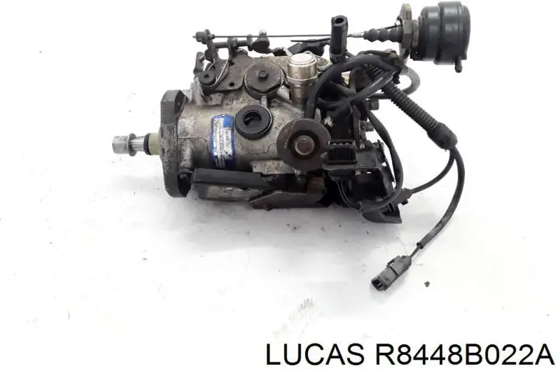 R8448B022A Lucas