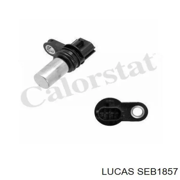 SEB1857 Lucas sensor de posición del árbol de levas