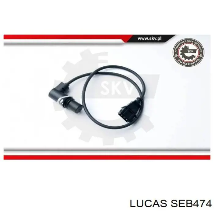 Volkswagen Passat 3A5, 351, 315