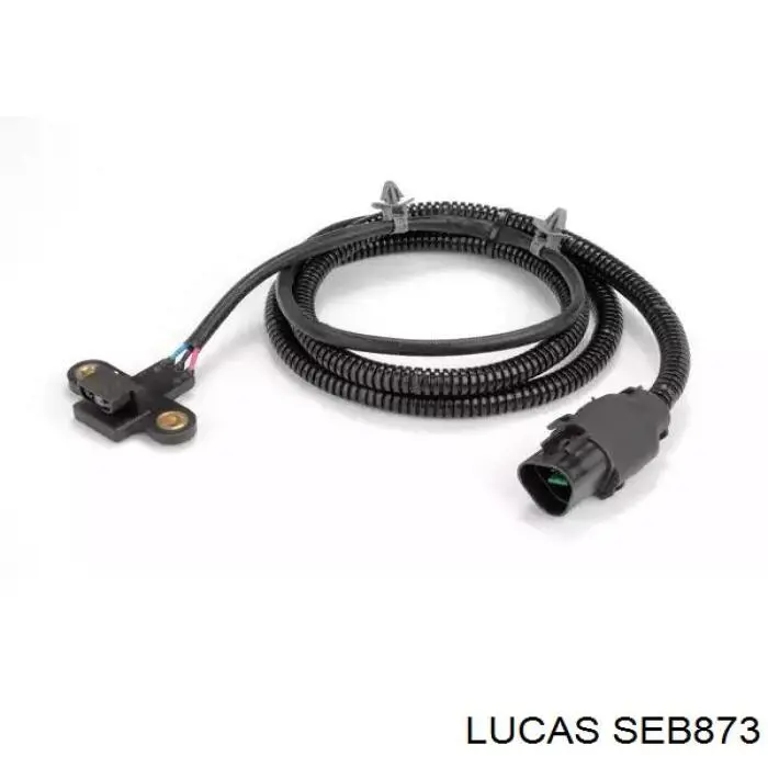 Sensor de posición del árbol de levas Hyundai Accent 1
