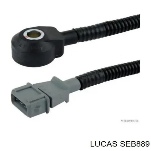 Sensor de detonaciones Citroen Evasion (U6U)