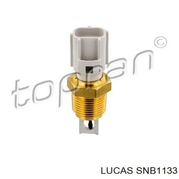 SNB1133 Lucas sensor, temperatura del aire de admisión