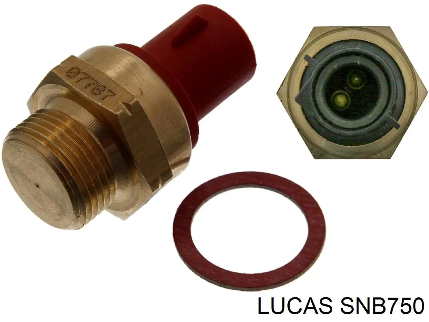 Sensor de temperatura del refrigerante Ford 7001604