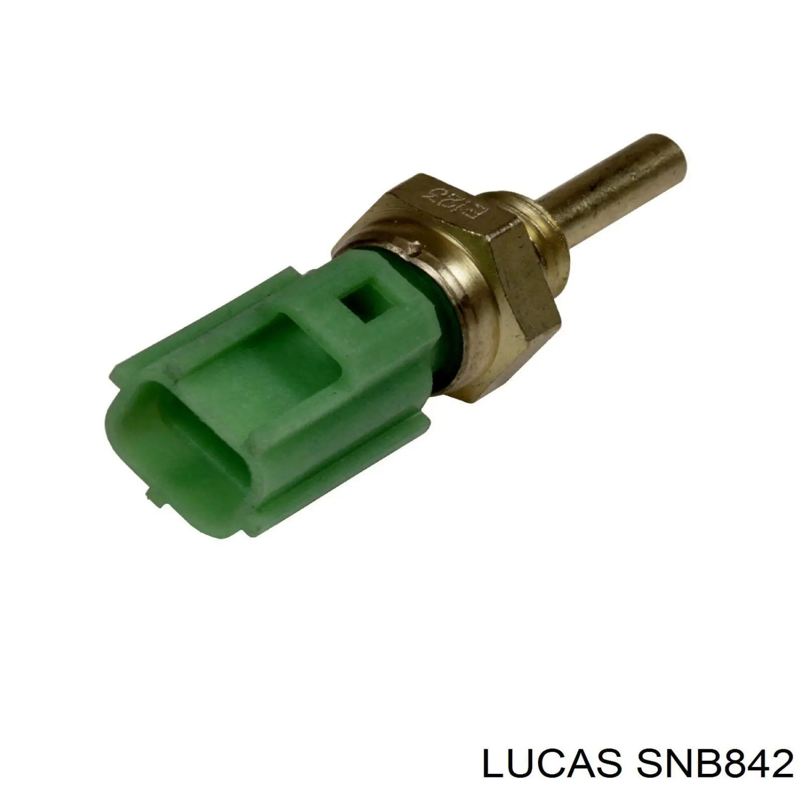 Sensor de temperatura del refrigerante Jaguar X-type CF1