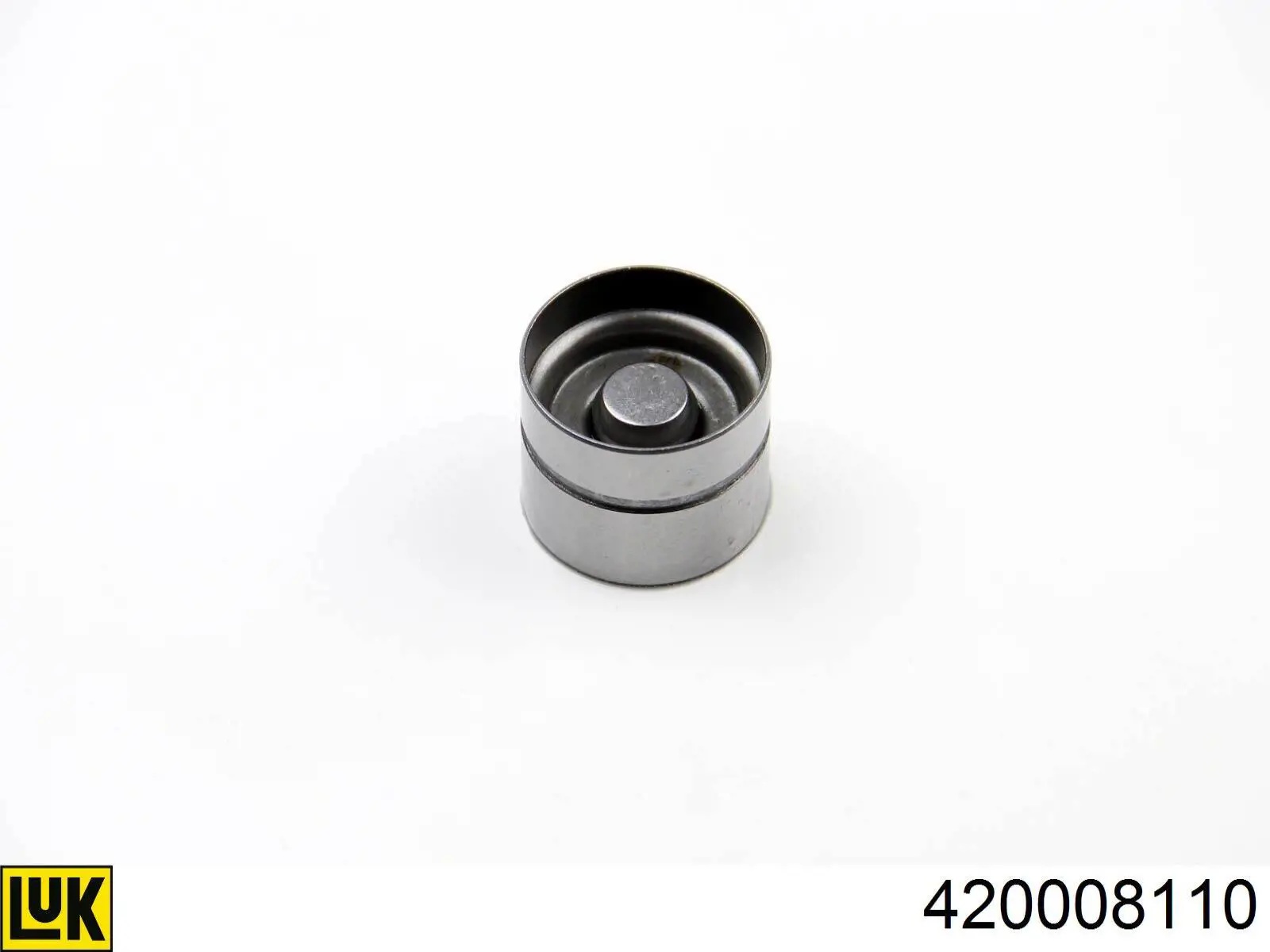 420008110 LUK