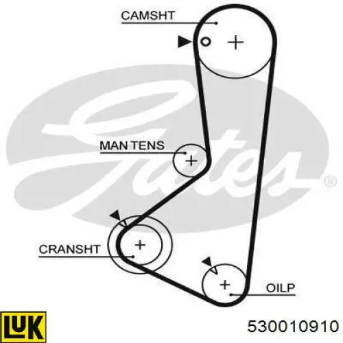 530 0109 10 LUK kit correa de distribución