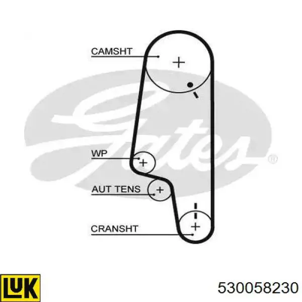 Kit de distribución 530058230 LUK