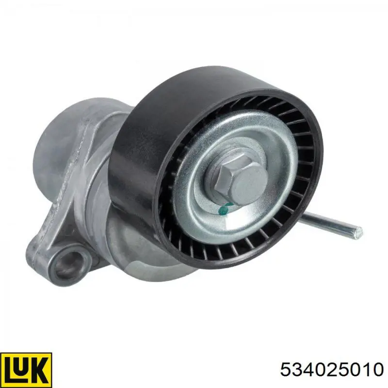Tensor de la correa trapecial LUK 534025010 precio, desde 40,45 EUR