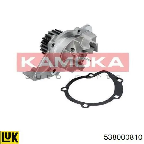 Bomba de agua Peugeot 406 8B