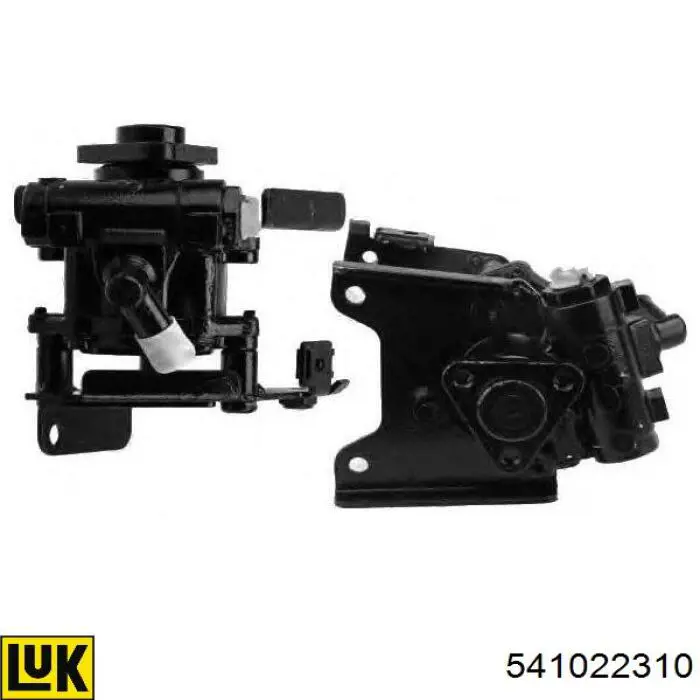 Bomba de dirección asistida  LUK 541022310 precio, desde 81,31 EUR