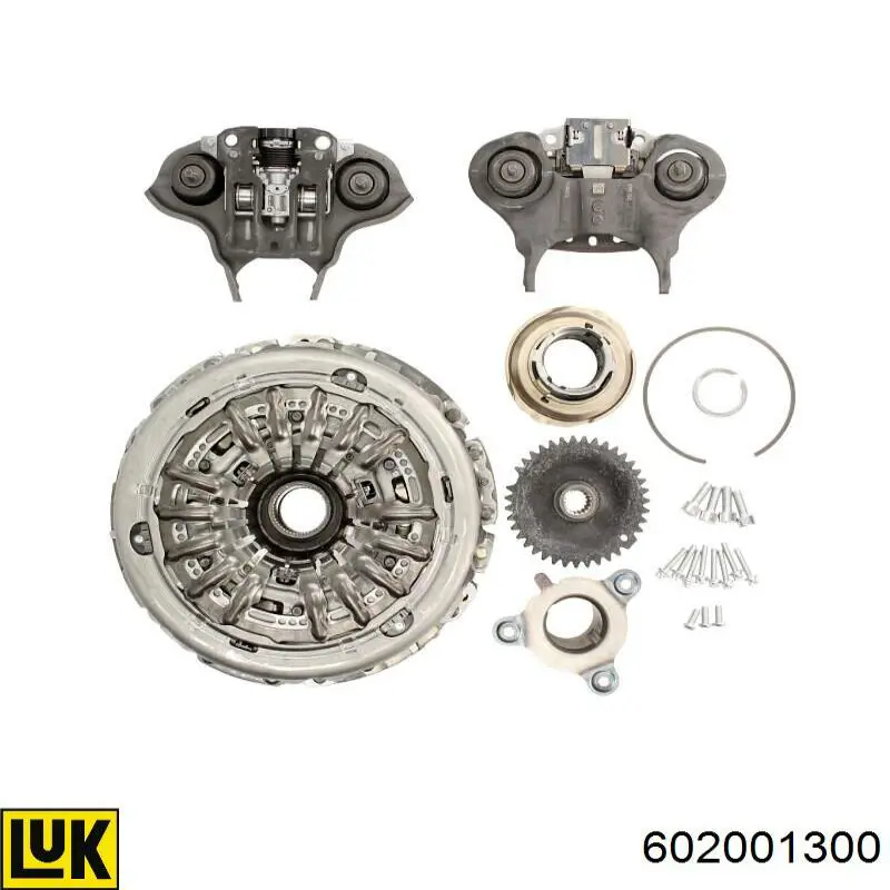 602001300 LUK Embrague motor