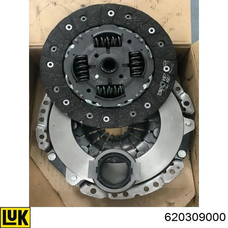 620309000 LUK