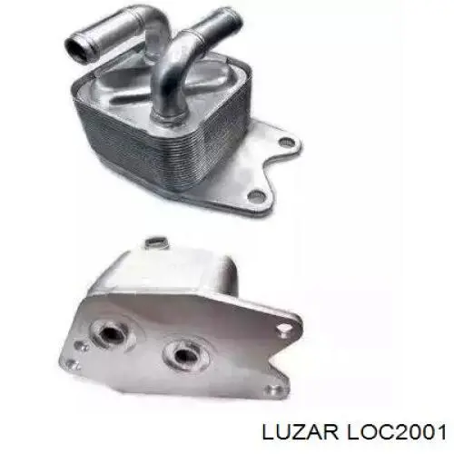 Radiador de aceite debajo del filtro 00001103N1 Peugeot/Citroen