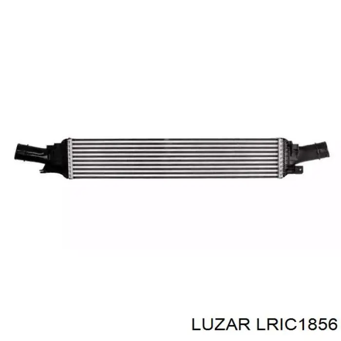 Radiador de aire de admisión VAG 95811064011 precio, desde 65,34 EUR